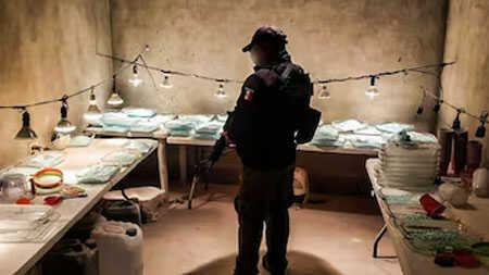 crime-organizado-no-mexico-e-brasil-450x253_o