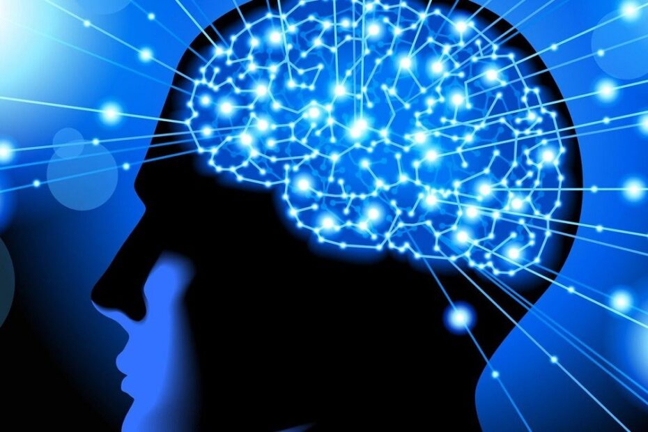 cerebro-desordem-linguagem-corporal-ibralc-1