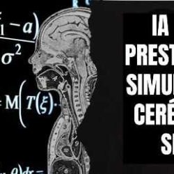 ia-esta-pretes-a-simular-o-cerebro-humano-ibrale-r