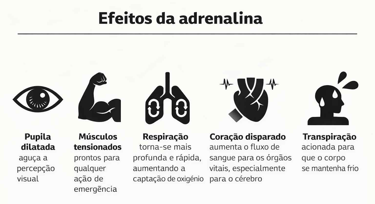 Infográfico ilustrando os efeitos da adrenalina no sistema nervoso autônomo, incluindo pupila dilatada, músculos tensionados, respiração acelerada e transpiração, no contexto da mentira sem consciência em Lie to Me S1E3.