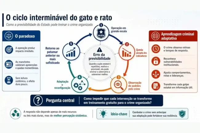 Infográfico sobre assimetria de aprendizagem na segurança pública, mostrando como ações previsíveis do Estado podem gerar adaptação criminal.